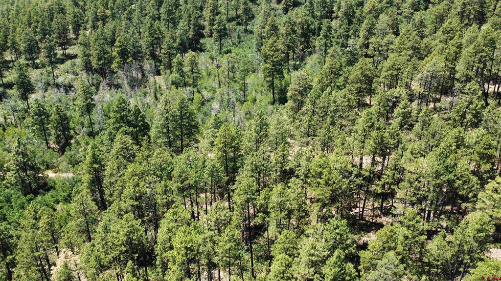 166 Jackalope Drive Property Photo 8