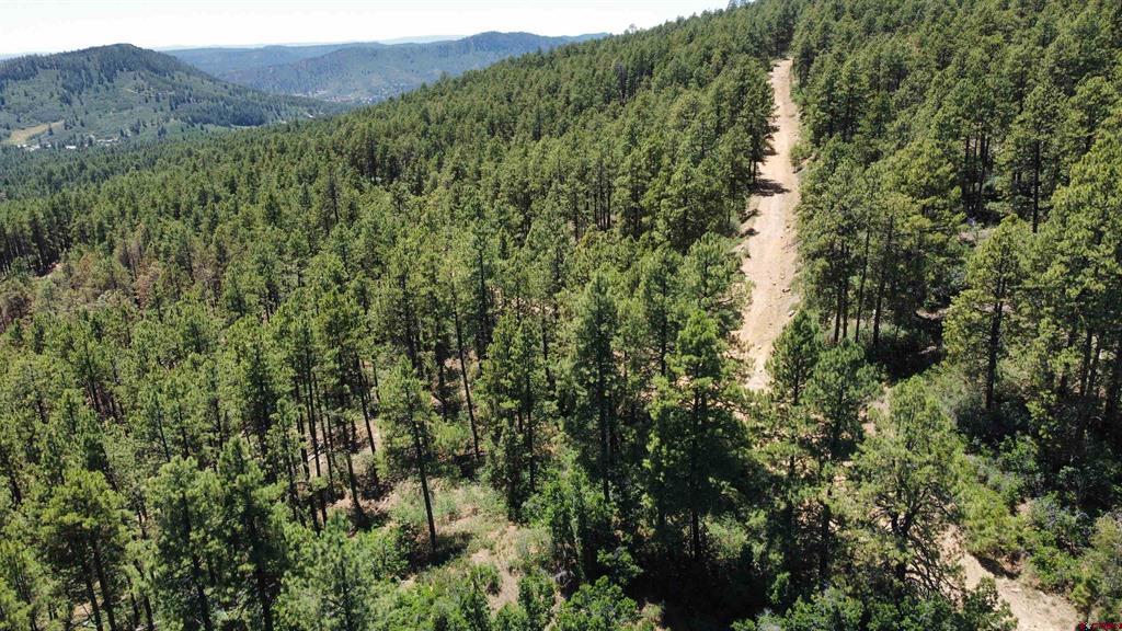 166 Jackalope Drive Property Photo 10