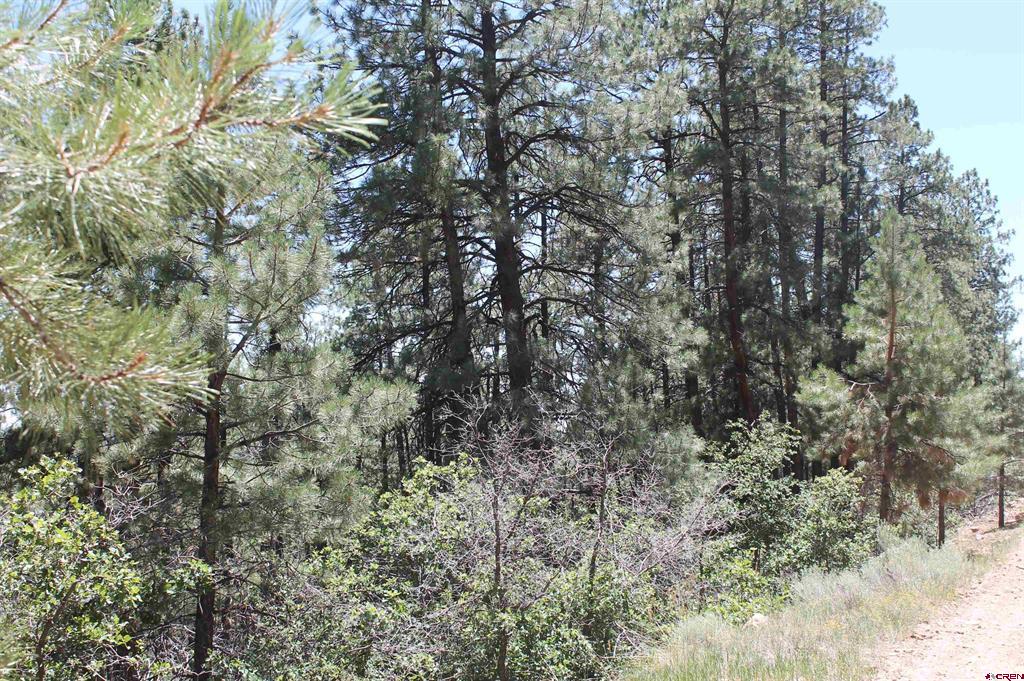 166 Jackalope Drive Property Photo 11
