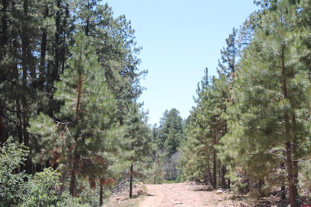 166 Jackalope Drive Property Photo 12