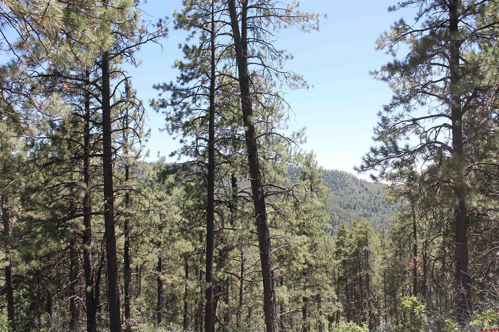 166 Jackalope Drive Property Photo 14