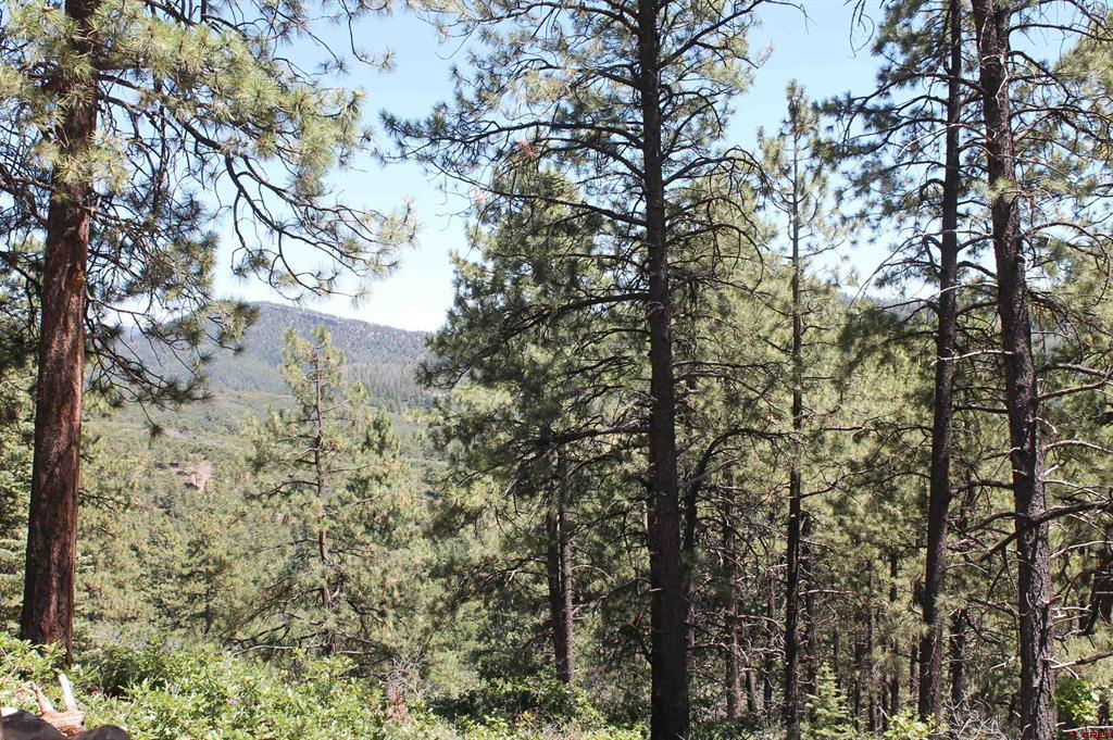 166 Jackalope Drive Property Photo 16