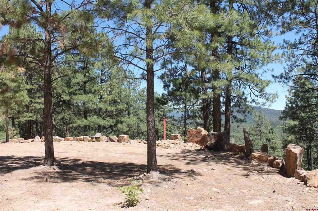 166 Jackalope Drive Property Photo 18