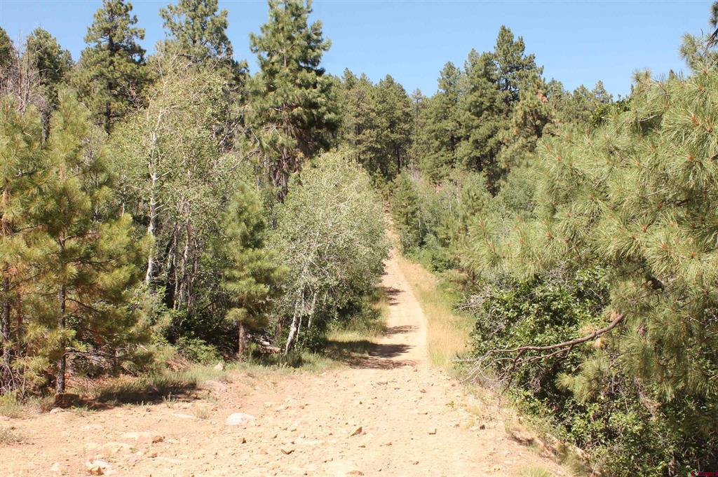 166 Jackalope Drive Property Photo 19