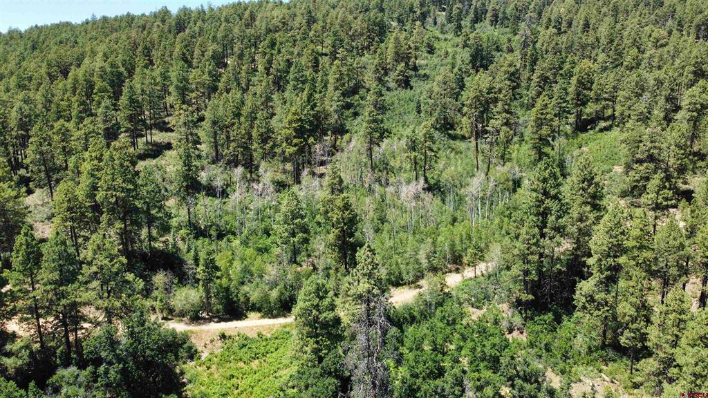140 Jackalope Drive Property Photo 1