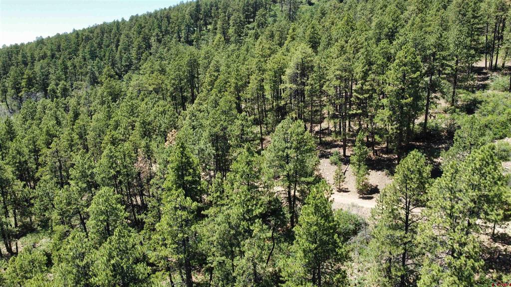 140 Jackalope Drive Property Photo 2