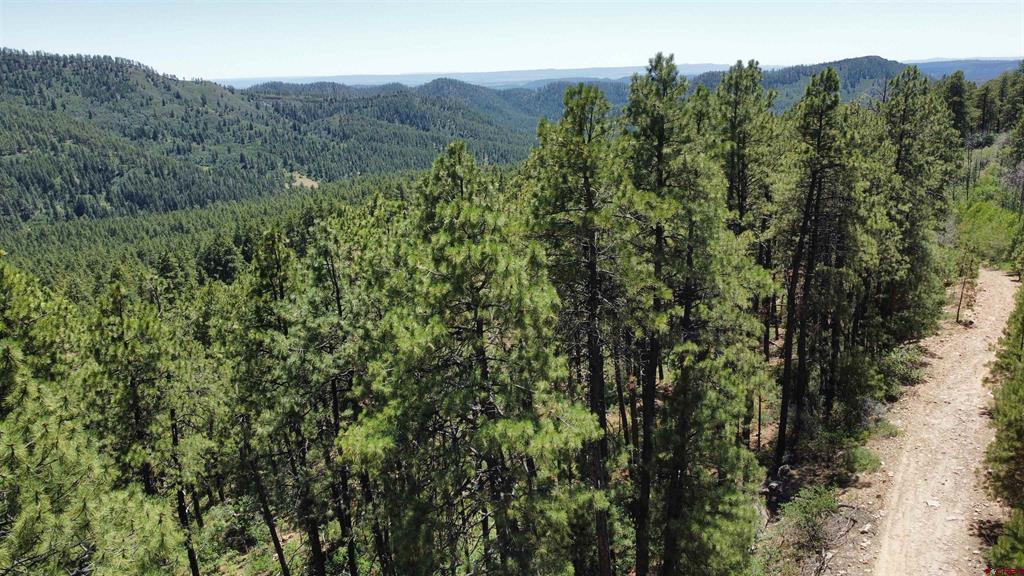 140 Jackalope Drive Property Photo 3