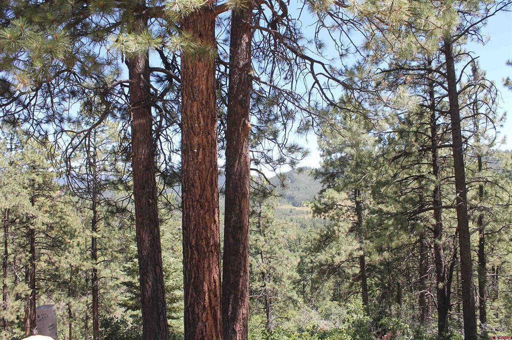 140 Jackalope Drive Property Photo 13