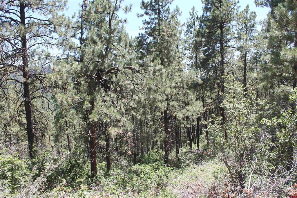140 Jackalope Drive Property Photo 15