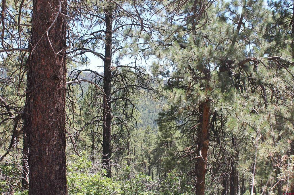 140 Jackalope Drive Property Photo 17