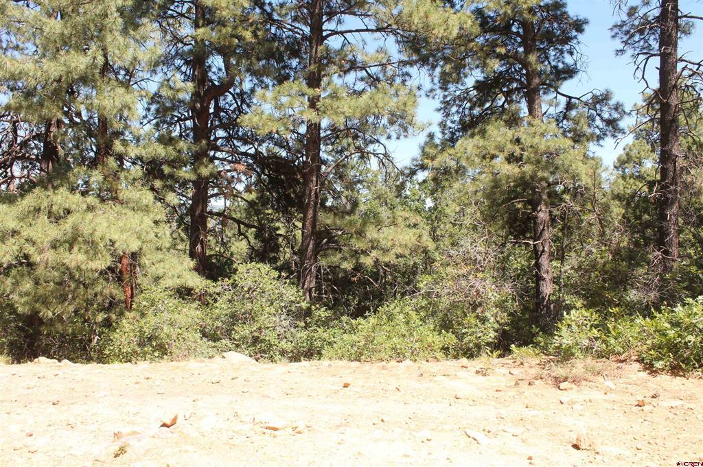 140 Jackalope Drive Property Photo 20