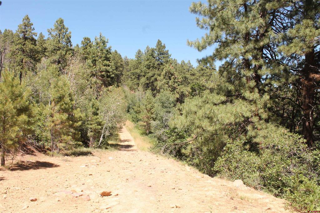 140 Jackalope Drive Property Photo 21