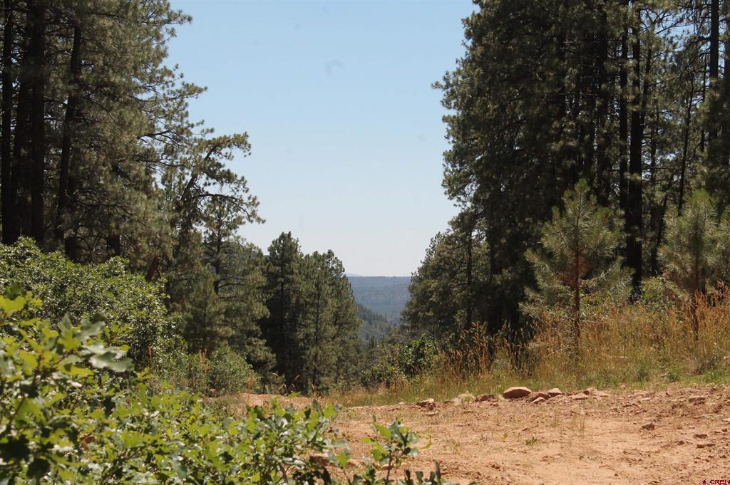 140 Jackalope Drive Property Photo 22