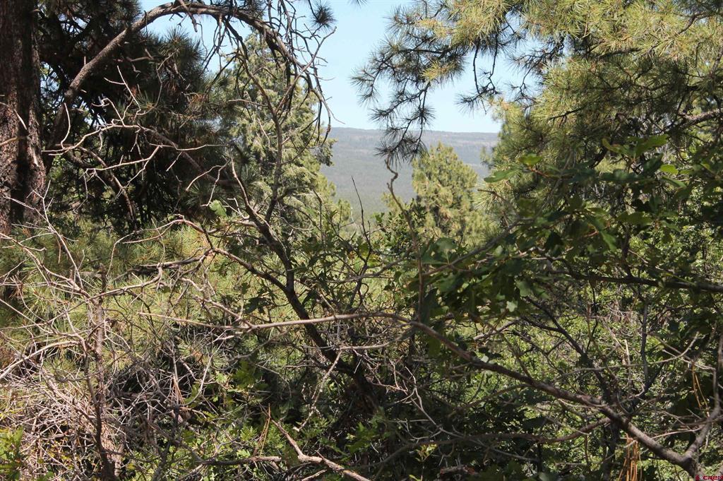 140 Jackalope Drive Property Photo 23