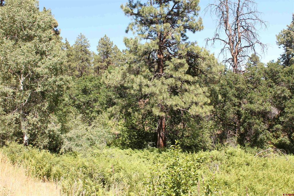 140 Jackalope Drive Property Photo 24