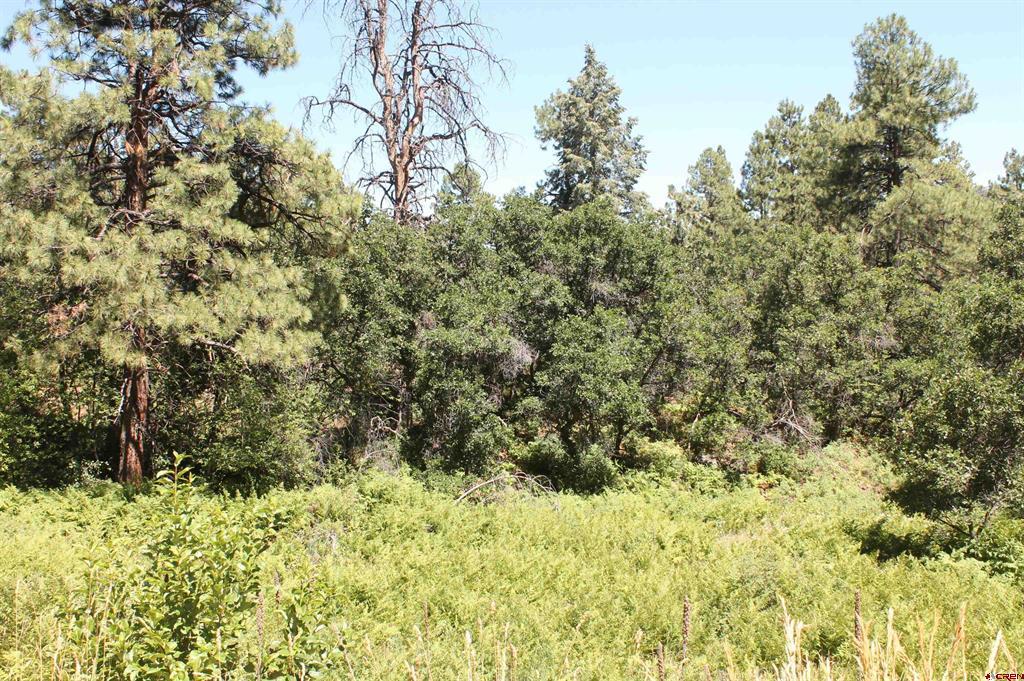 140 Jackalope Drive Property Photo 25