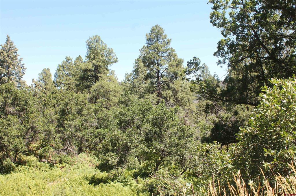 140 Jackalope Drive Property Photo 26