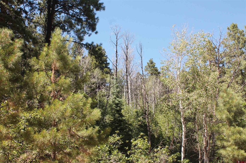 140 Jackalope Drive Property Photo 27