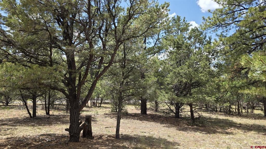 118 Pika Lane Property Photo 8