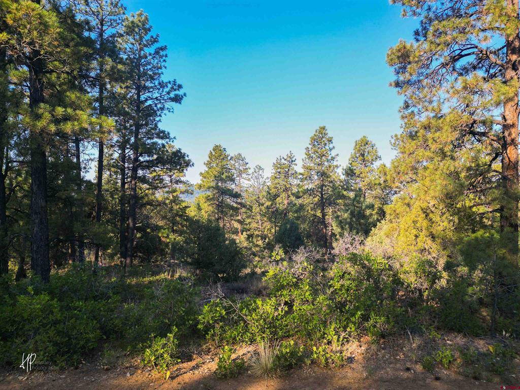 326 Justin's Road Property Photo 1