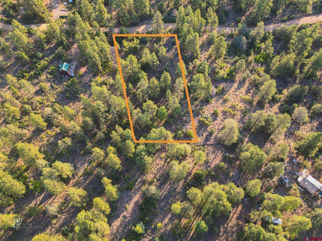 326 Justin's Road Property Photo 5