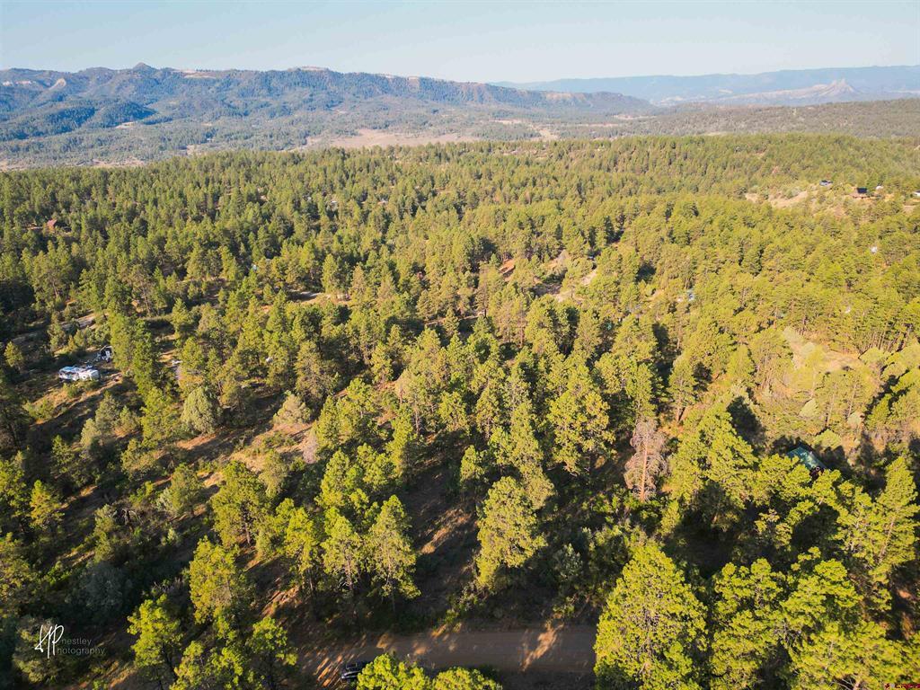 326 Justin's Road Property Photo 8