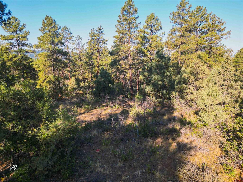326 Justin's Road Property Photo 13