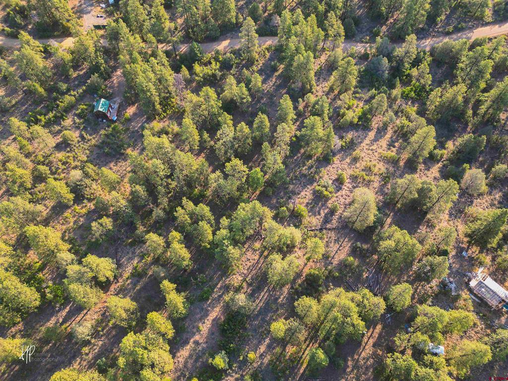 326 Justin's Road Property Photo 16