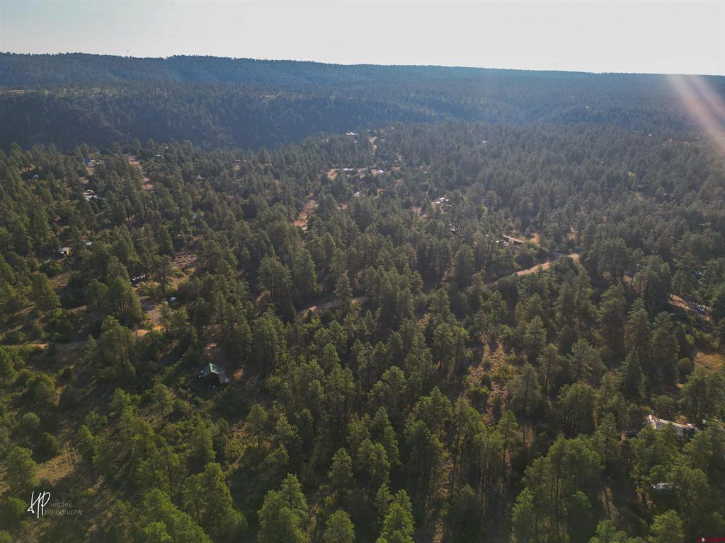326 Justin's Road Property Photo 26