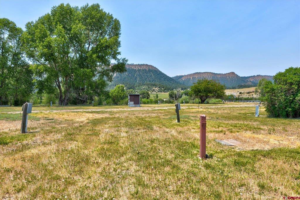 23470 Us Highway 84 Property Photo 24
