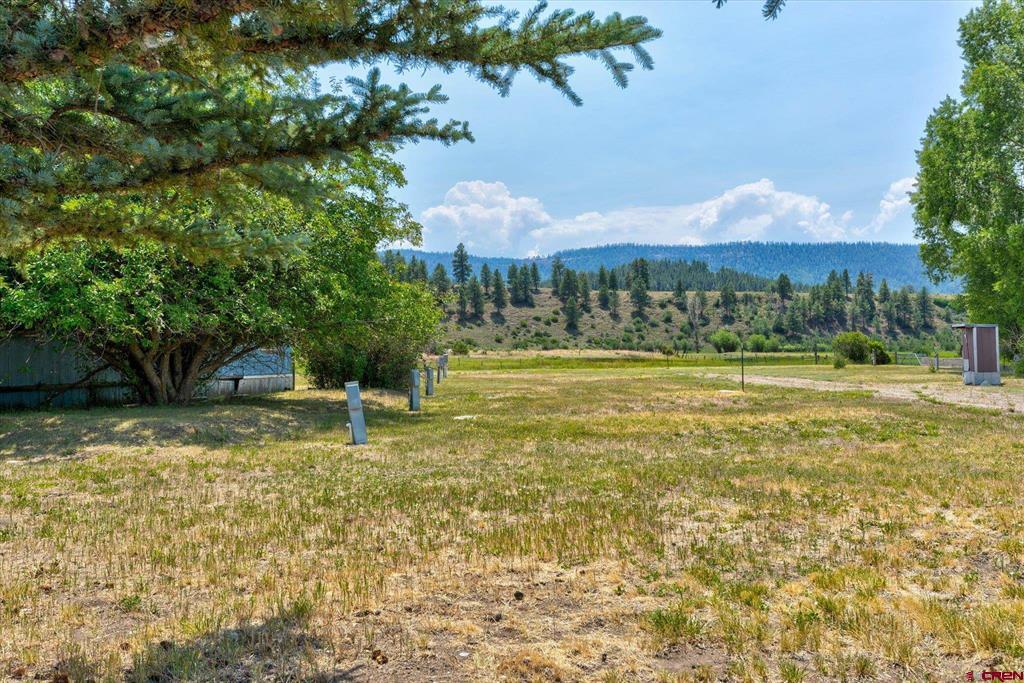 23470 Us Highway 84 Property Photo 29