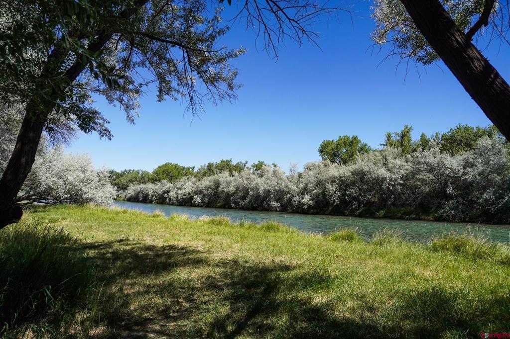 42 & 44 4380 Road Property Photo 34