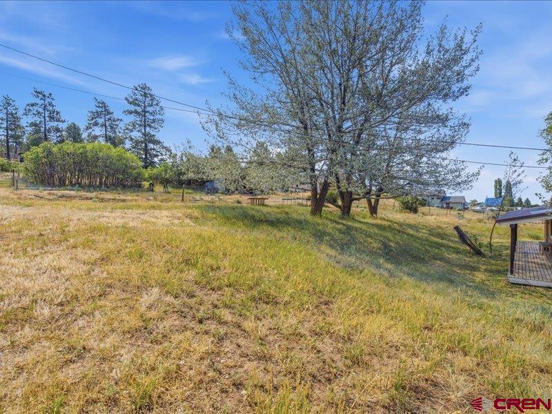 1712 County Road 501 Property Photo 19