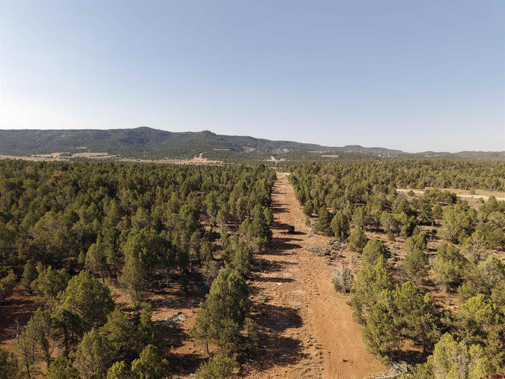 Tbd Cr 310 Property Photo 3