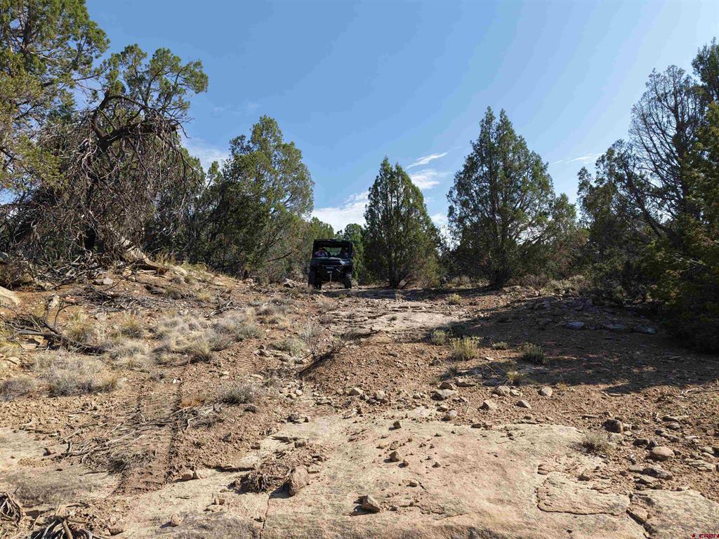 Tbd Cr 310 Property Photo 4