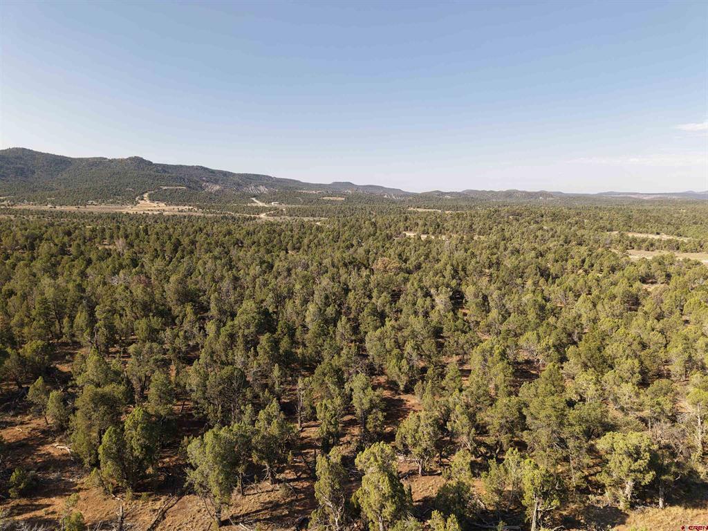 Tbd Cr 310 Property Photo 5