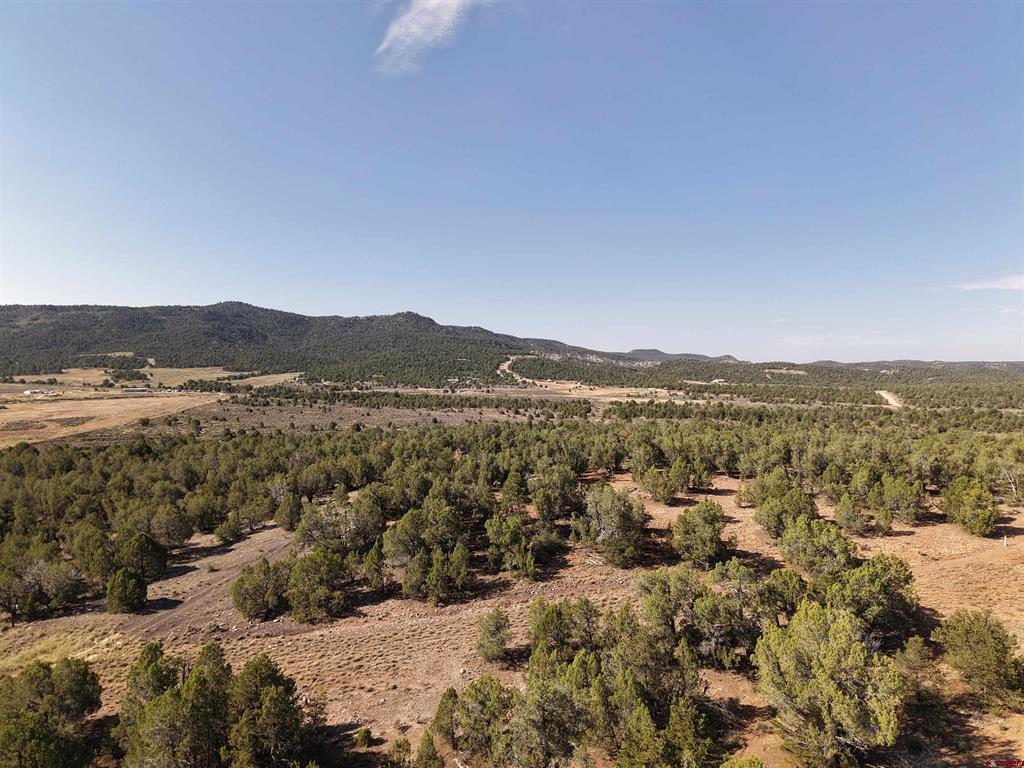 Tbd Cr 310 Property Photo 6