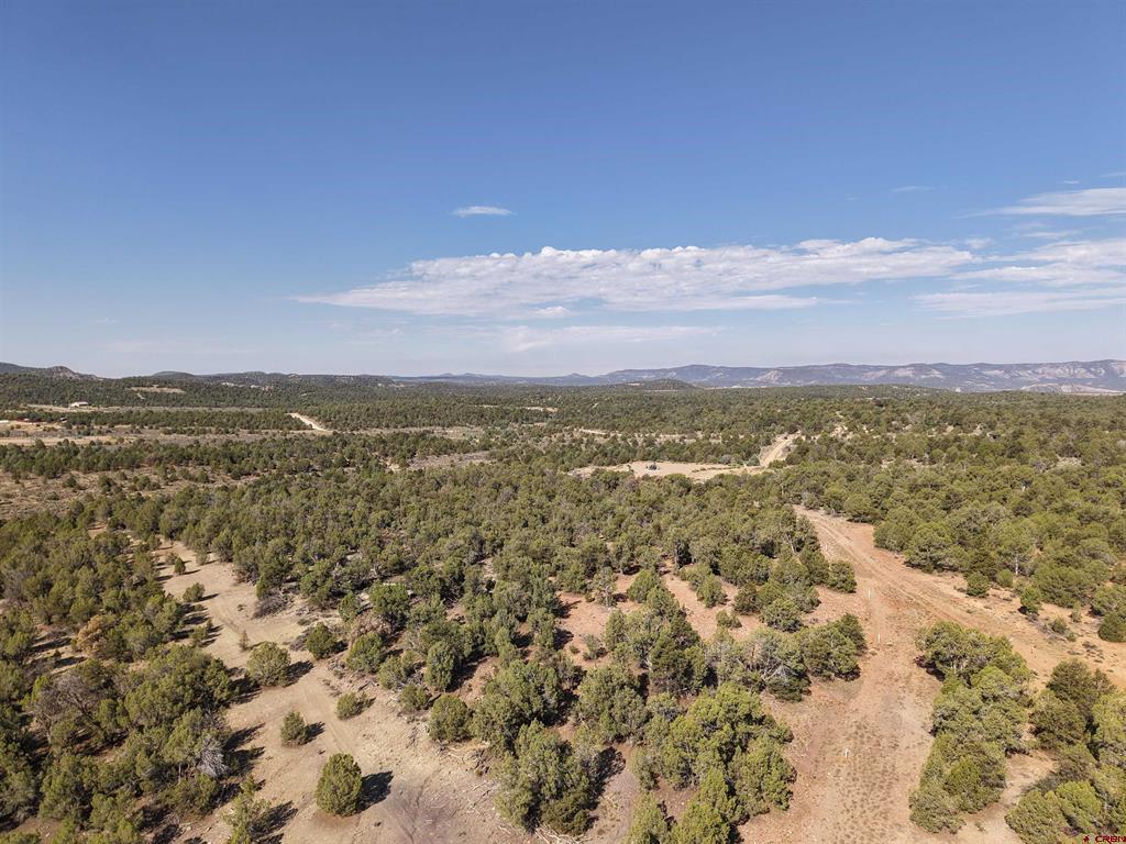 Tbd Cr 310 Property Photo 7