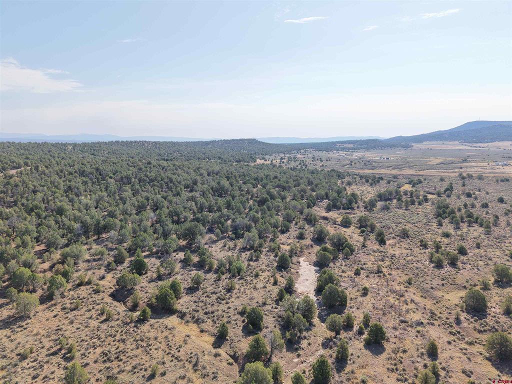 Tbd Cr 310 Property Photo 8