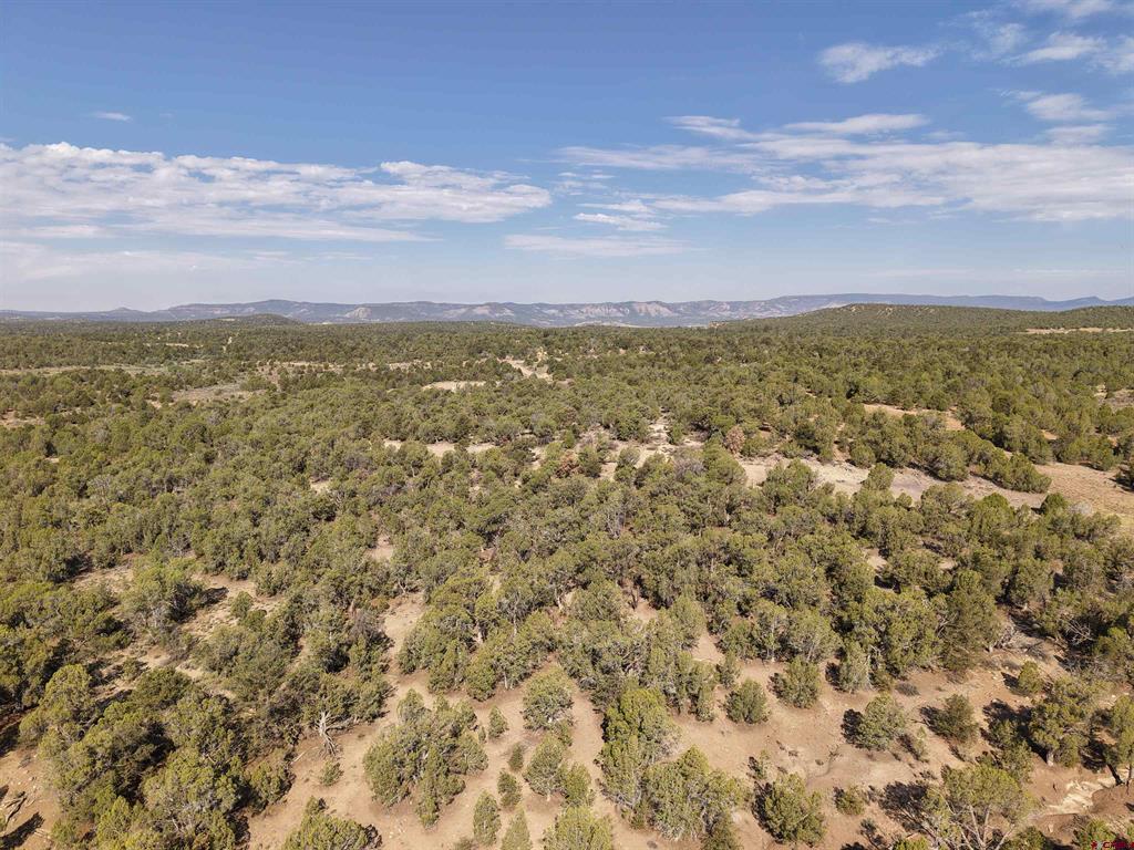 Tbd Cr 310 Property Photo 9