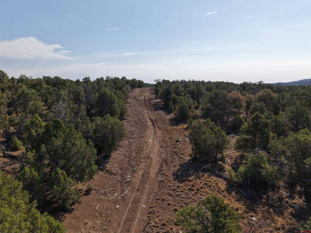 Tbd Cr 310 Property Photo 10
