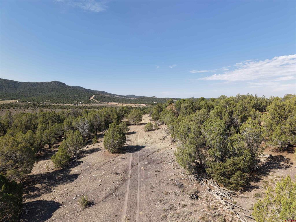 Tbd Cr 310 Property Photo 11