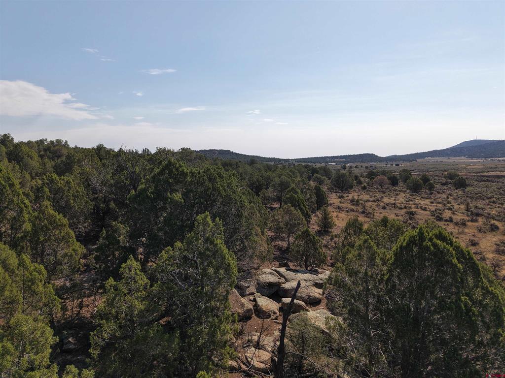 Tbd Cr 310 Property Photo 14