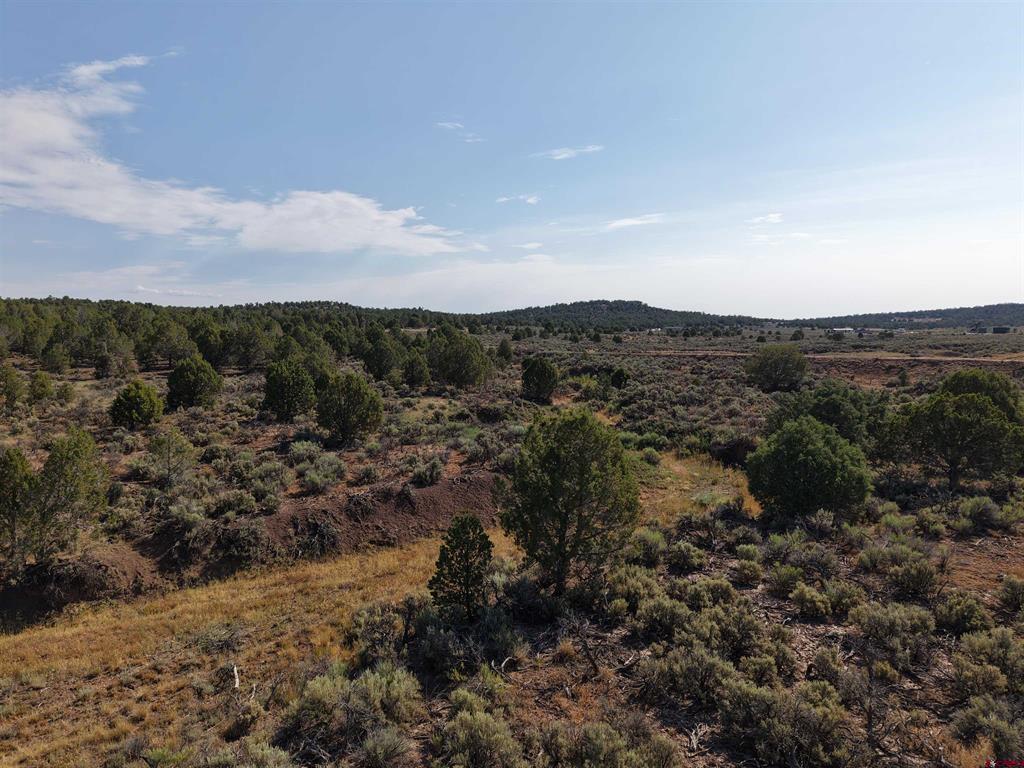 Tbd Cr 310 Property Photo 15