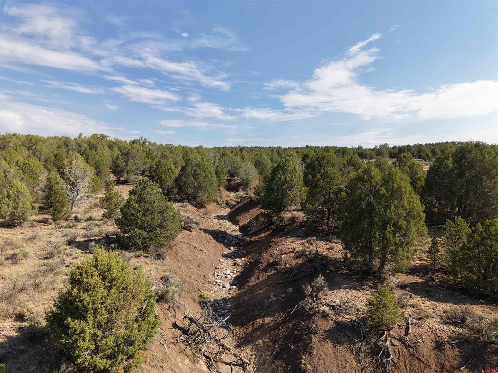 Tbd Cr 310 Property Photo 16