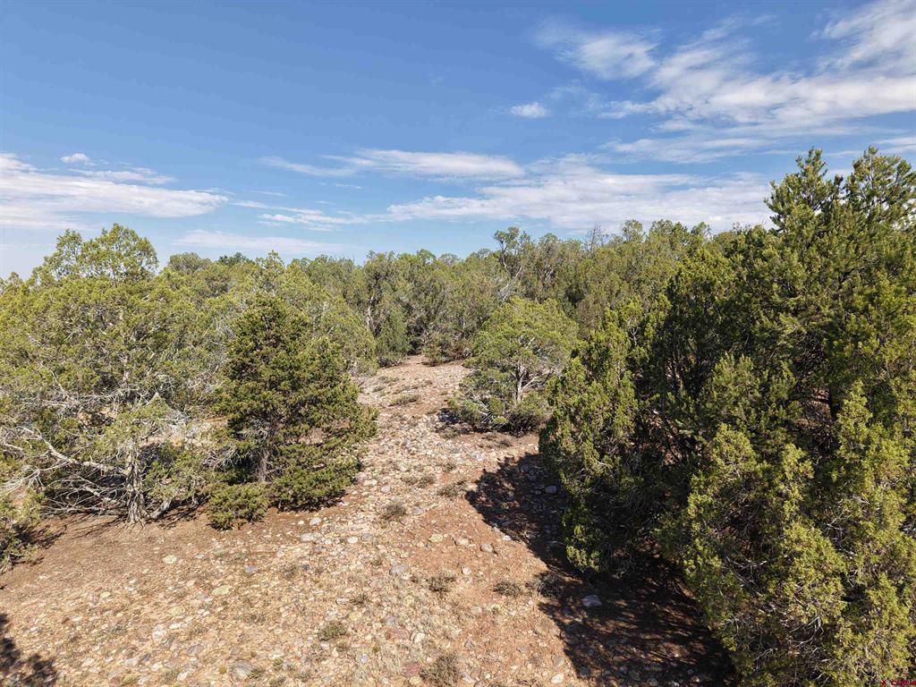 Tbd Cr 310 Property Photo 17