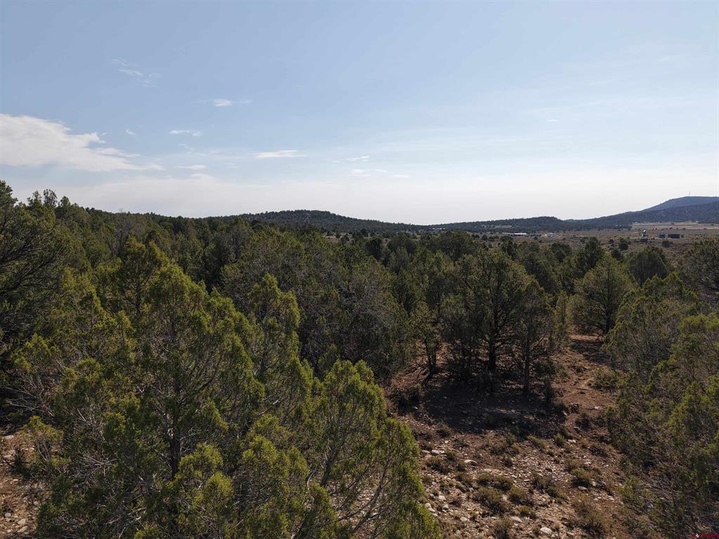 Tbd Cr 310 Property Photo 18