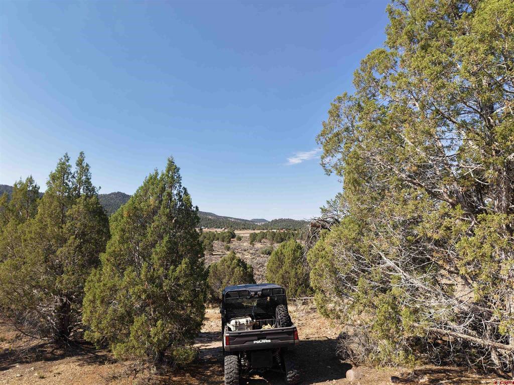 Tbd Cr 310 Property Photo 19
