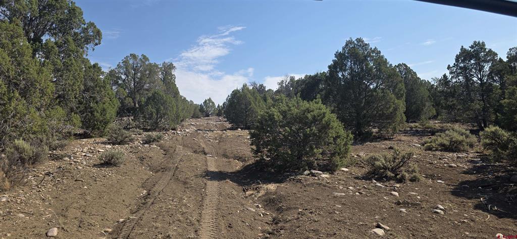 Tbd Cr 310 Property Photo 20