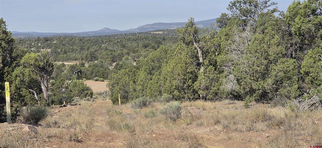 Tbd Cr 310 Property Photo 22
